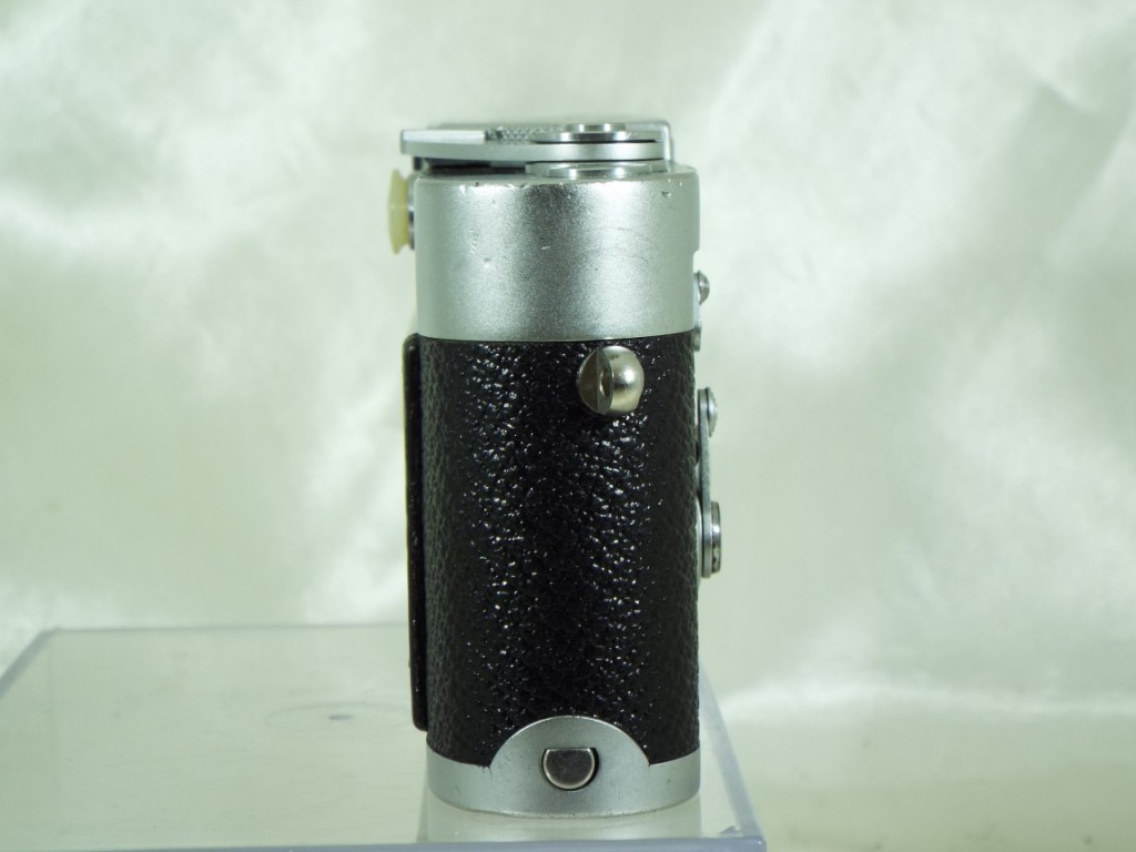 C25031202
