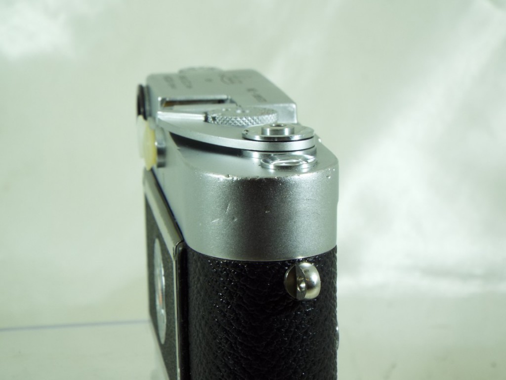 C25031202