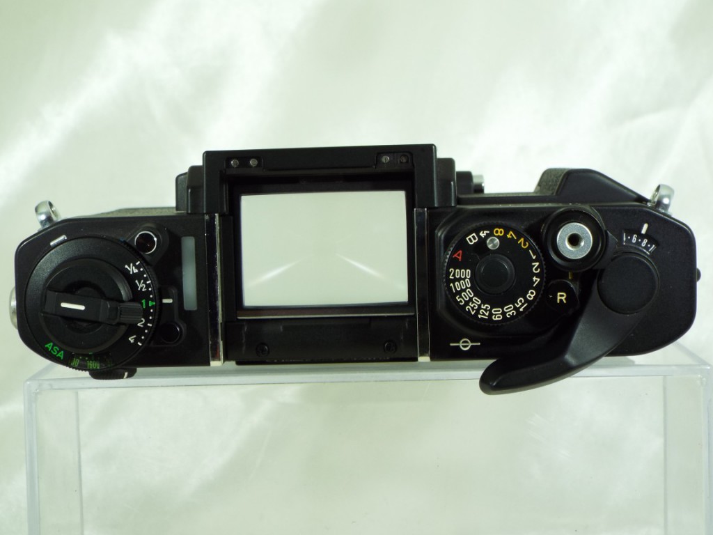 C25031801