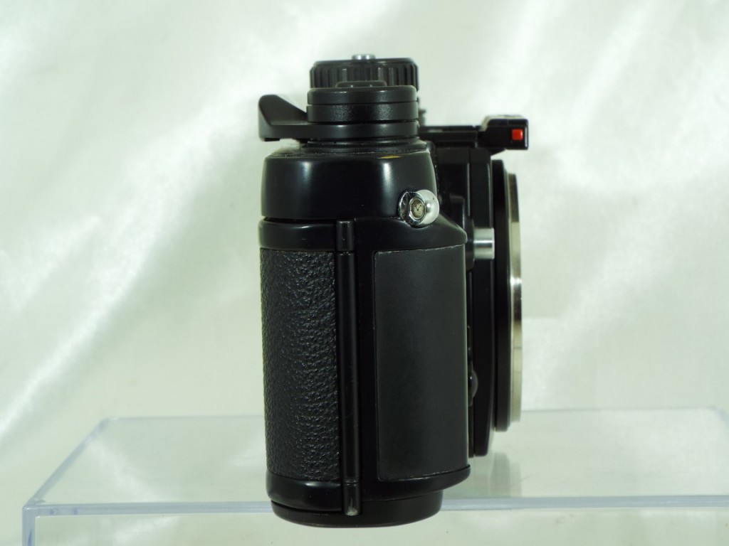 C25032306