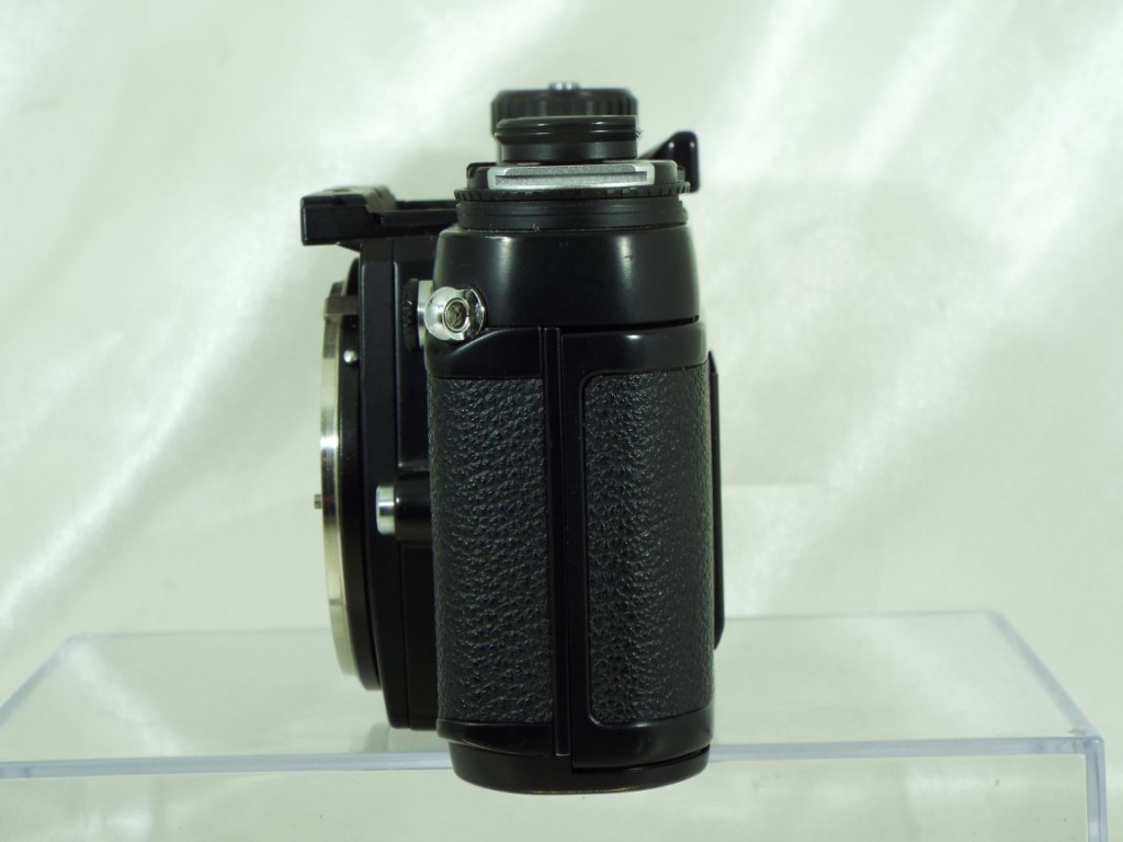 C25032306