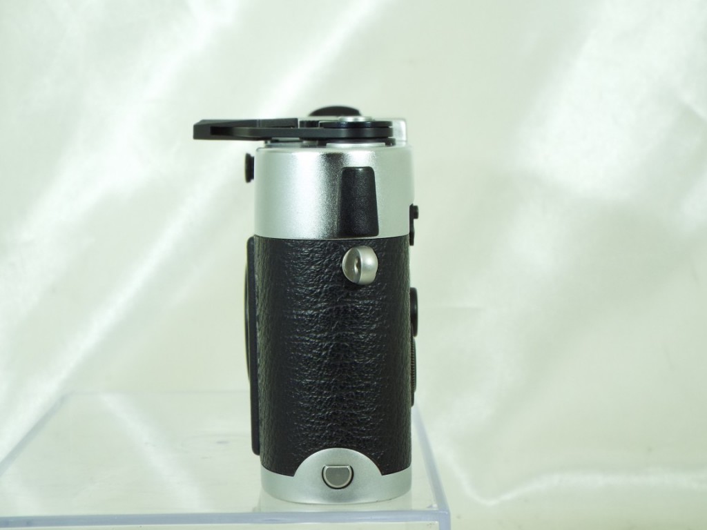 C25033004