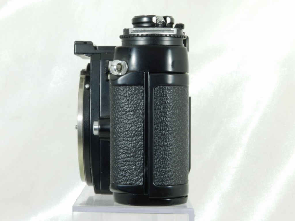 C25051303
