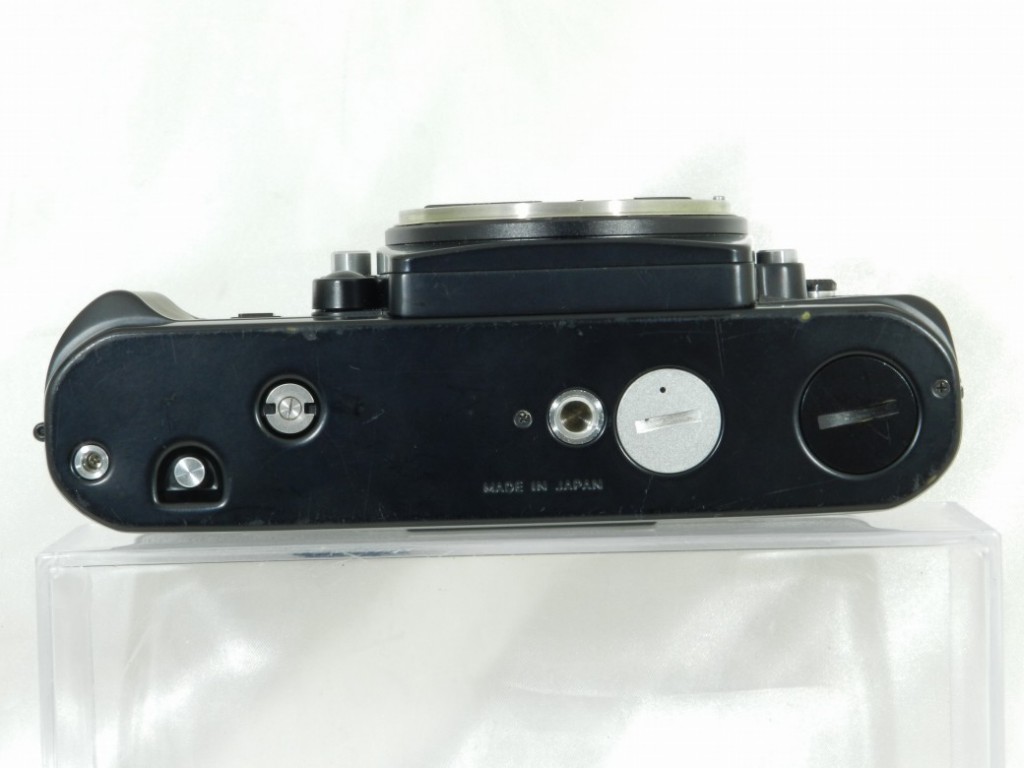 C25051303