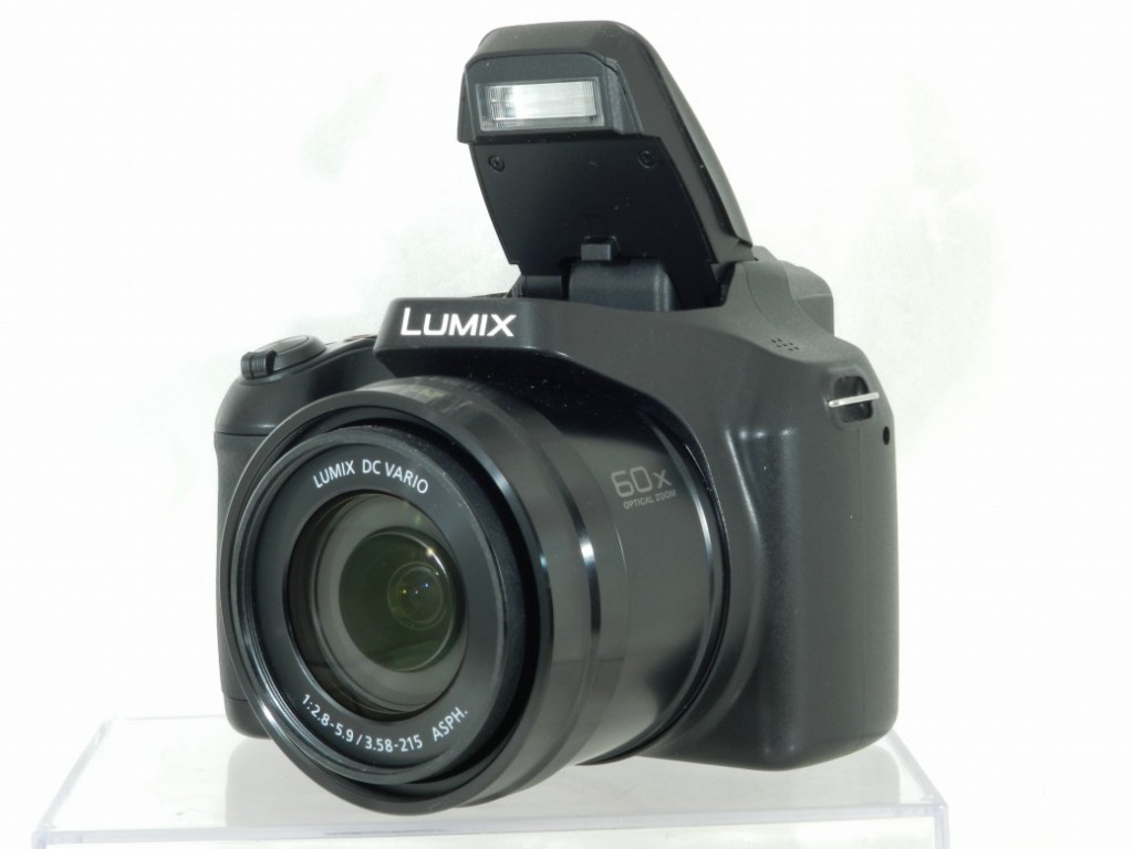 C25051304