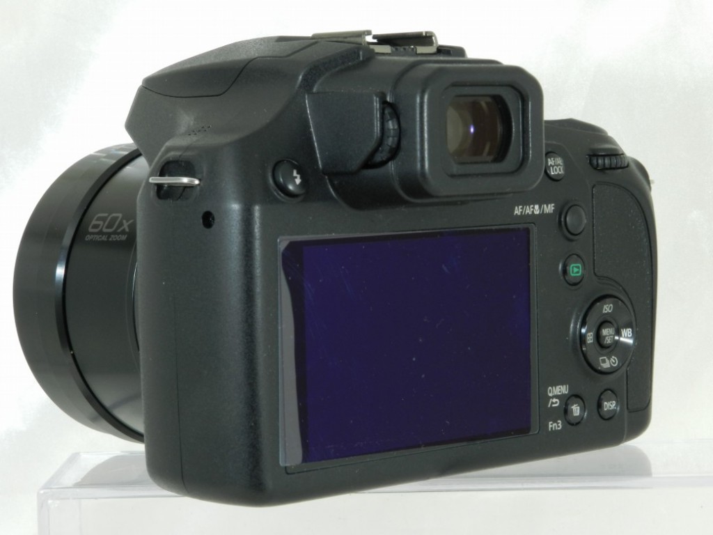 C25051304