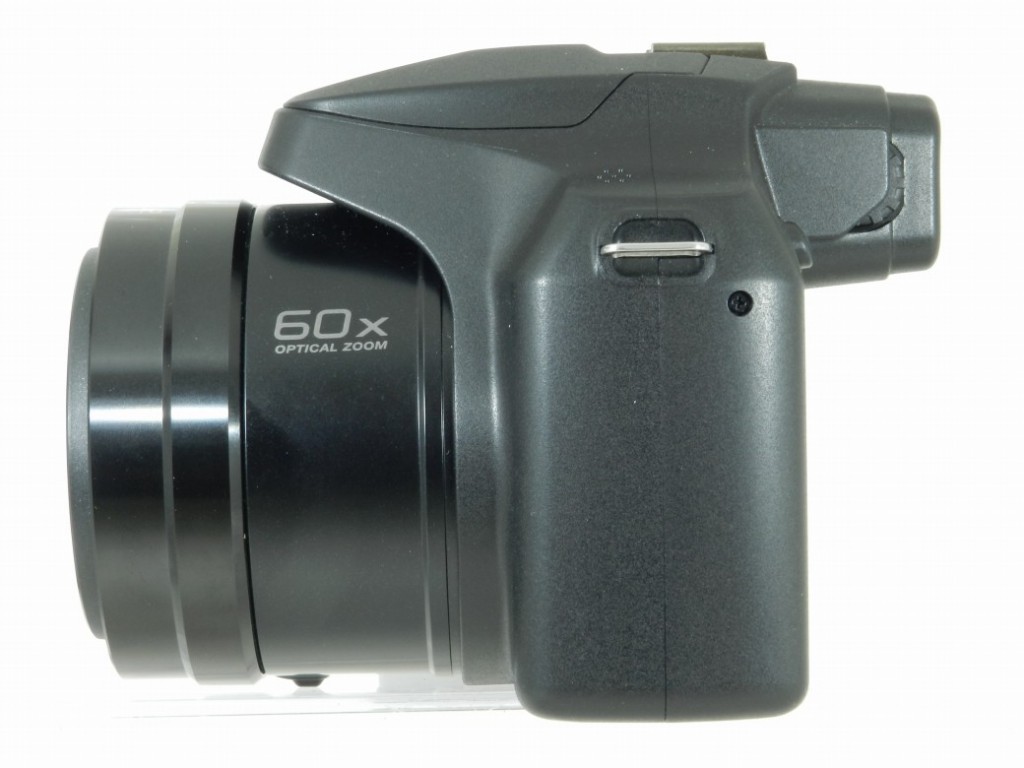 C25051304