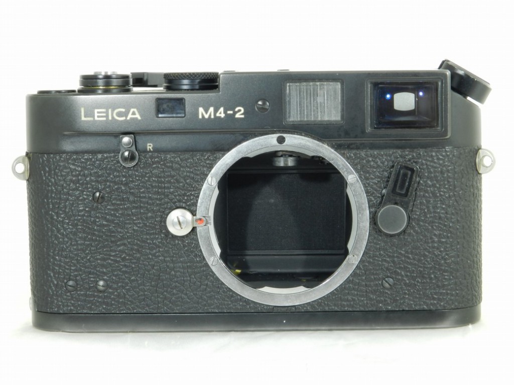 C25060301