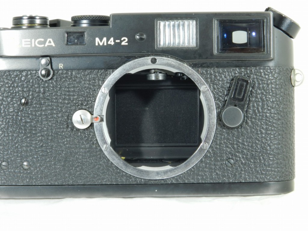 C25060301