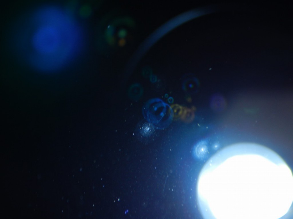 C25071301