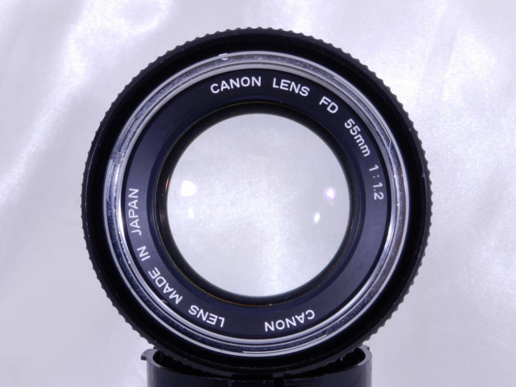 C25081304