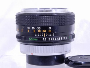 C25081304